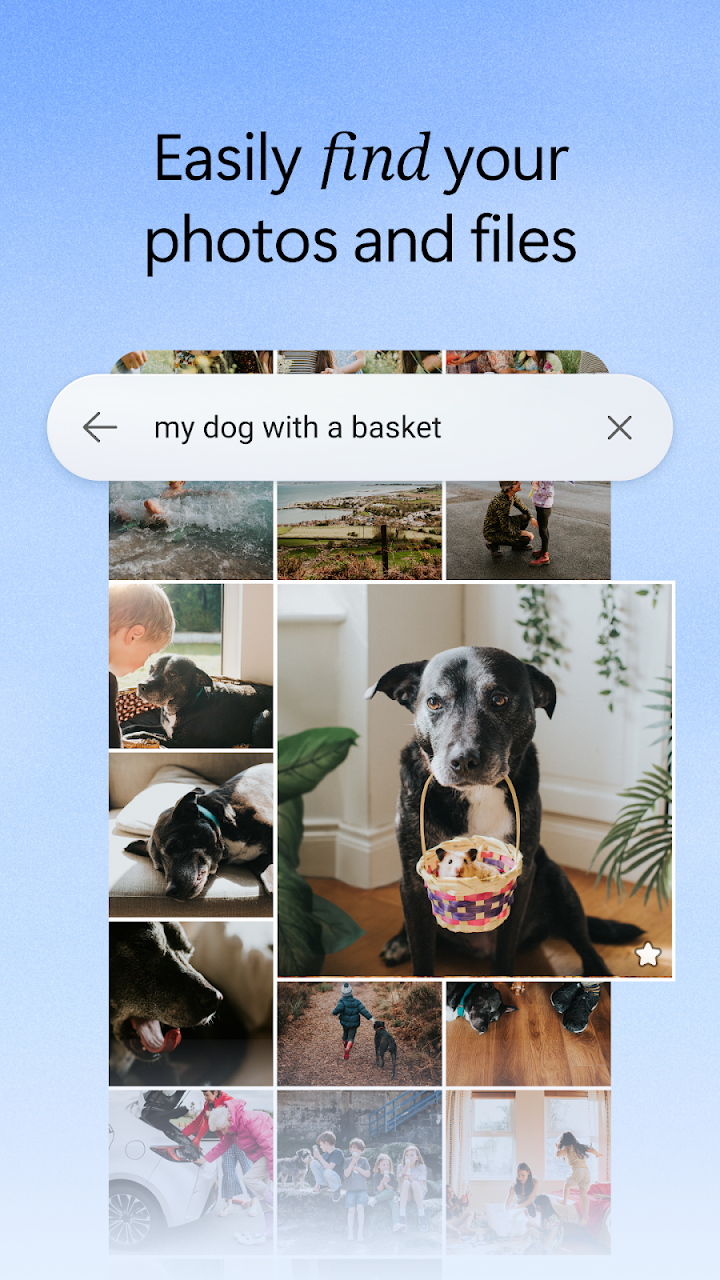 Microsoft OneDrive screenshot
